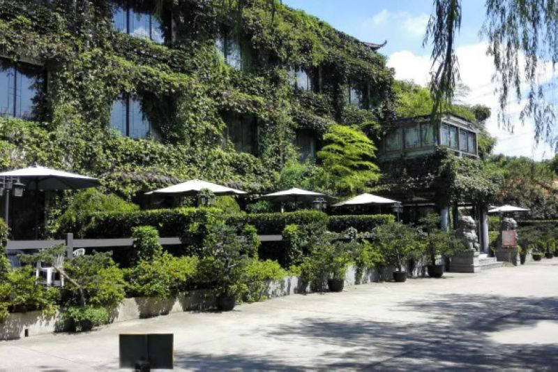Ecological Tea Garden 